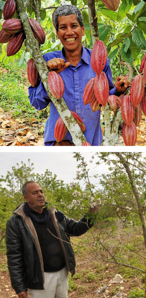 pasqua equosolidale i produttori di cacao e mandorle